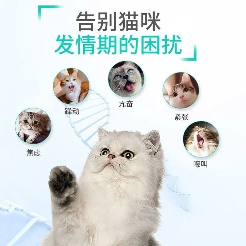 【一滴就绝育】公猫母猫通用猫咪禁情液终身永久免手术绝育抑情液 - 图3