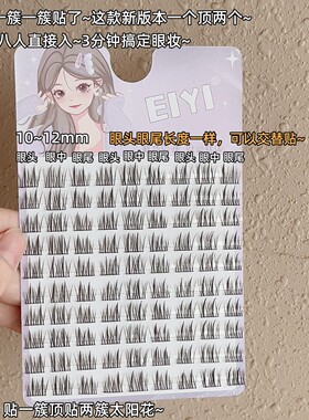 程十安推荐双懒人太阳花假睫毛女自然仿真单簇三部曲黑梗分段式