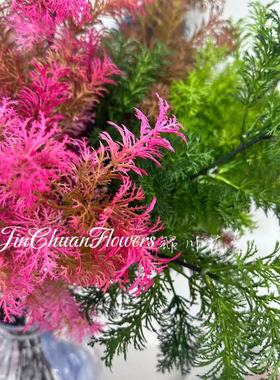 2025绿意盎然婚庆仿真花装饰家居松系布景蓬莱松香草绿植清新点缀