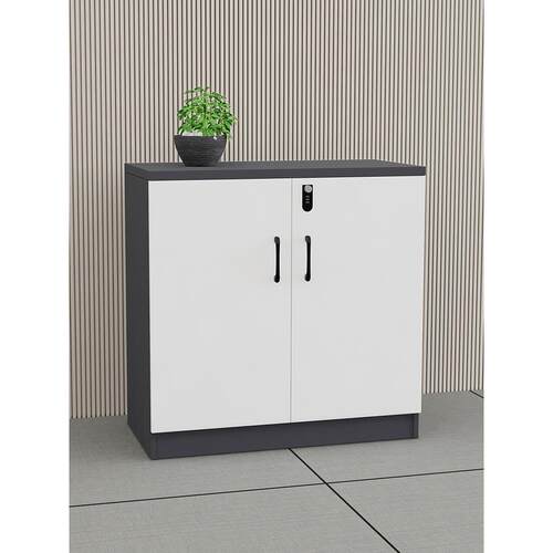 ft文件柜办公室矮柜落地资料柜收纳置物柜木质储物柜子会议室茶水 - 图2