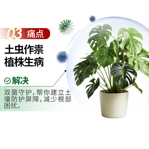 花肥谷微生物菌剂枯草芽孢杆菌根腐立克兰花卉多肉发财树黄叶专用 - 图2