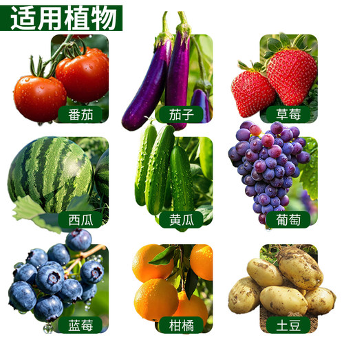 花肥谷蔬菜专用肥生物有机肥瓜果蔬菜黄瓜豆角通用蔬菜用种菜菌肥 - 图3