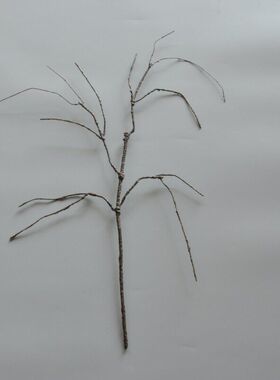 仿真枯枝装饰树枝植物配件插花干树枝家居干花