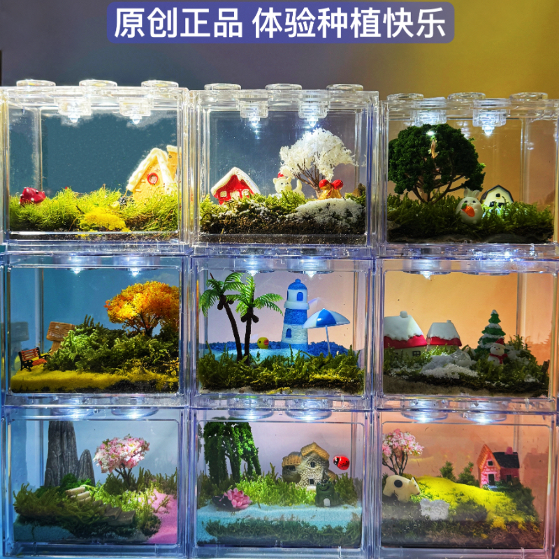 曼尾纱苔藓微景观小摆件diy材料造景盆栽办公室绿植解压创意礼物-图3