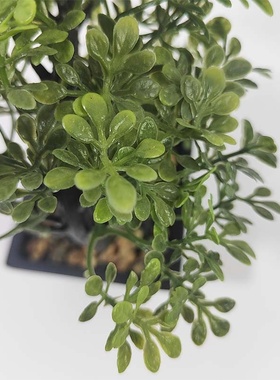 仿真迷你小盆栽PE人造圣诞树仿真绿植办公室家居桌面小摆件批发