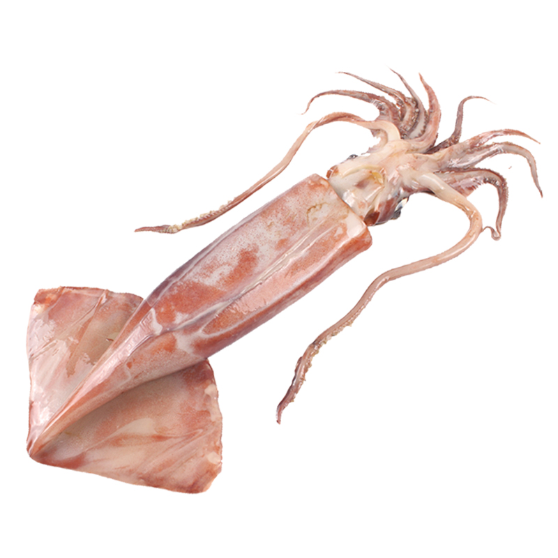 新鲜大鱿鱼海鲜超大鱿鱼须去皮免清理生鲜铁板烧烤海鲜冷冻商用 - 图3