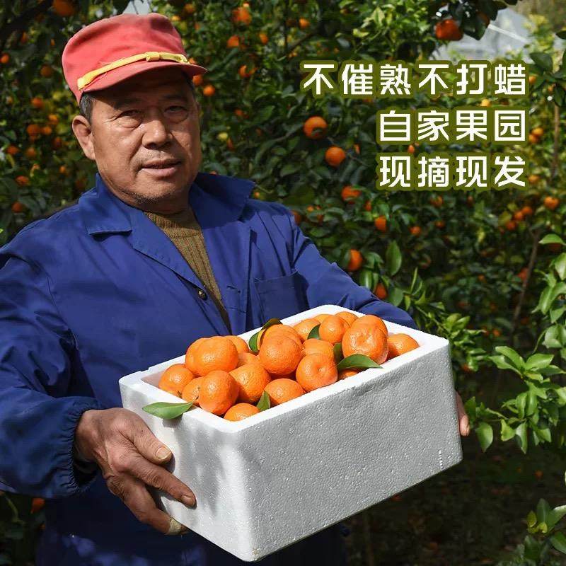 正宗广西砂糖橘10水果新鲜当季橘子整箱斤纯甜金秋沙糖桔非无籽,淘宝优惠券,粉丝福利购,淘宝优惠卷