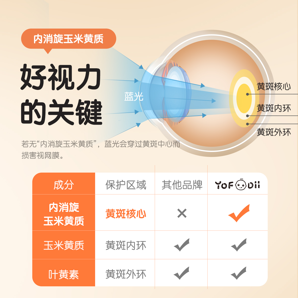 Yofoodii叶黄素咀嚼片护眼专利蓝莓儿童青少年复合维生素科学护眼 - 图2