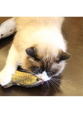 Pet Soft Plush 3D Fish Shape Cat Toy Interactive Gifts Fish