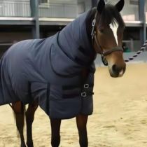 Winter plus cotton windproof horseback riding training equipped with anti-cold horse stalwarts with neck garb and cotton resistant cold dwarf horse