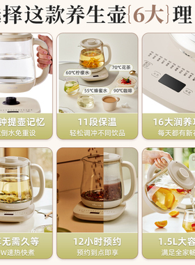 【0胶水】小熊大容量养生壶