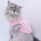 Тонкий дышащий жилет, шнурок-держатель, униформа, делается под заказ