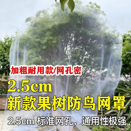 2.5 厘米网孔防鸟网果园专用尼龙抗老化大棚果树樱桃葡萄鱼塘天网 - 图1