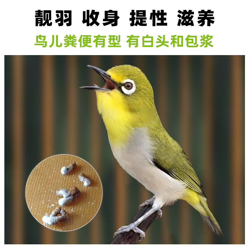 羽鸣绣眼鸟食靓羽提性粉眼白眼圈红肋暗绿秀眼鸟食专用饲料防水便,淘宝优惠券,粉丝福利购,淘宝优惠卷