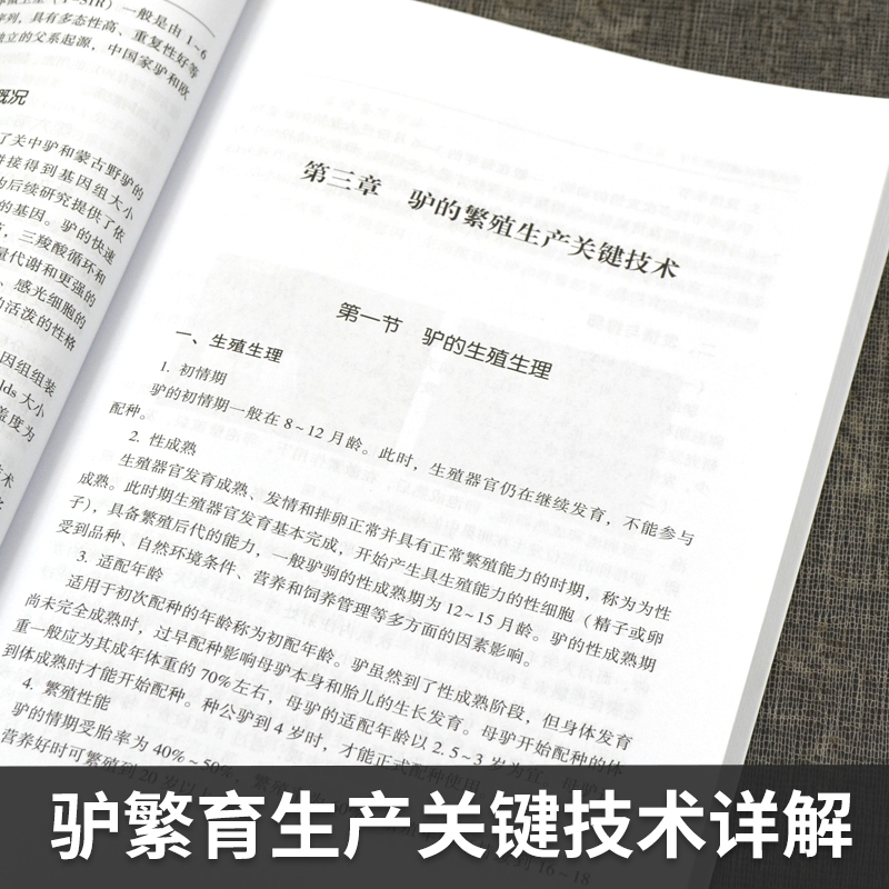 代养驴关键技术 养驴实用书养殖饲料管理养驴基础理论驴病诊断与防治肉驴养殖驴配种驴产品加工现代农业养殖技术书籍 - 图2