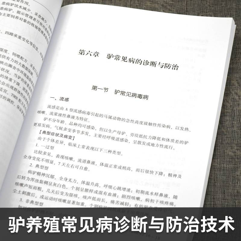 代养驴关键技术 养驴实用书养殖饲料管理养驴基础理论驴病诊断与防治肉驴养殖驴配种驴产品加工现代农业养殖技术书籍 - 图1