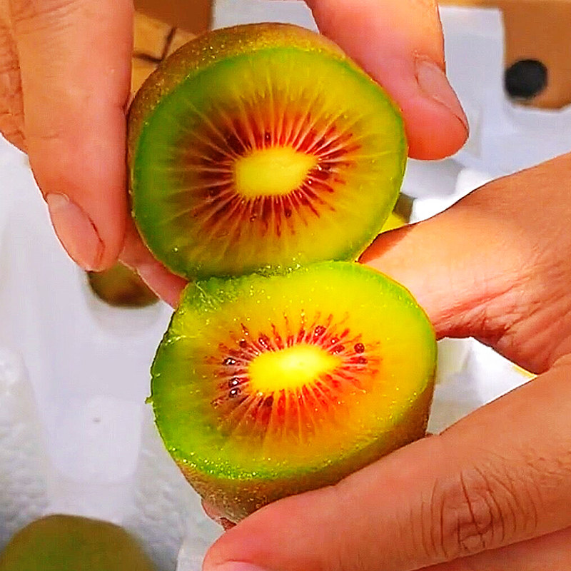  黄六爷果多多奇异果/猕猴桃