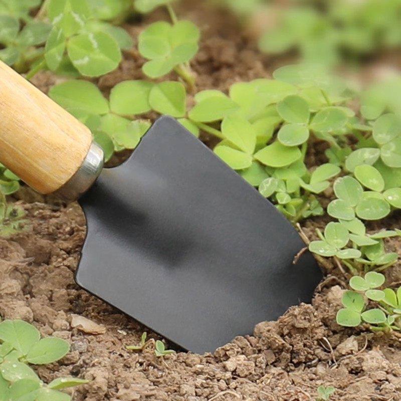 种花工具家用套装种菜栽花养花多肉盆栽耙子铁锹园艺小铲子三件套,淘宝优惠券,粉丝福利购,淘宝优惠卷