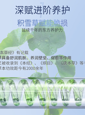 积雪草b5面膜升级2.0熬夜修护