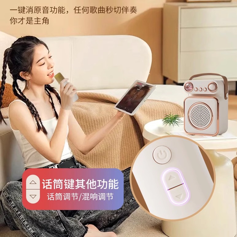 Speaker and microphone integrated family ktv children's toy