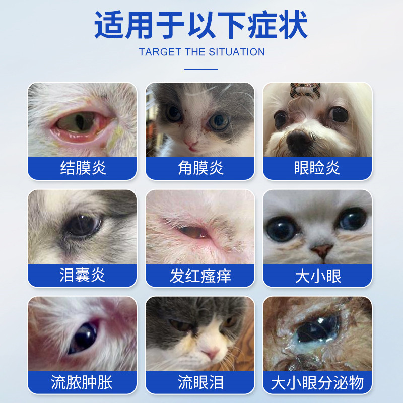 Angelamiao宠物醋酸氢化可的松滴眼液猫狗角膜炎去泪痕消炎眼药水,淘宝优惠券,粉丝福利购,淘宝优惠卷