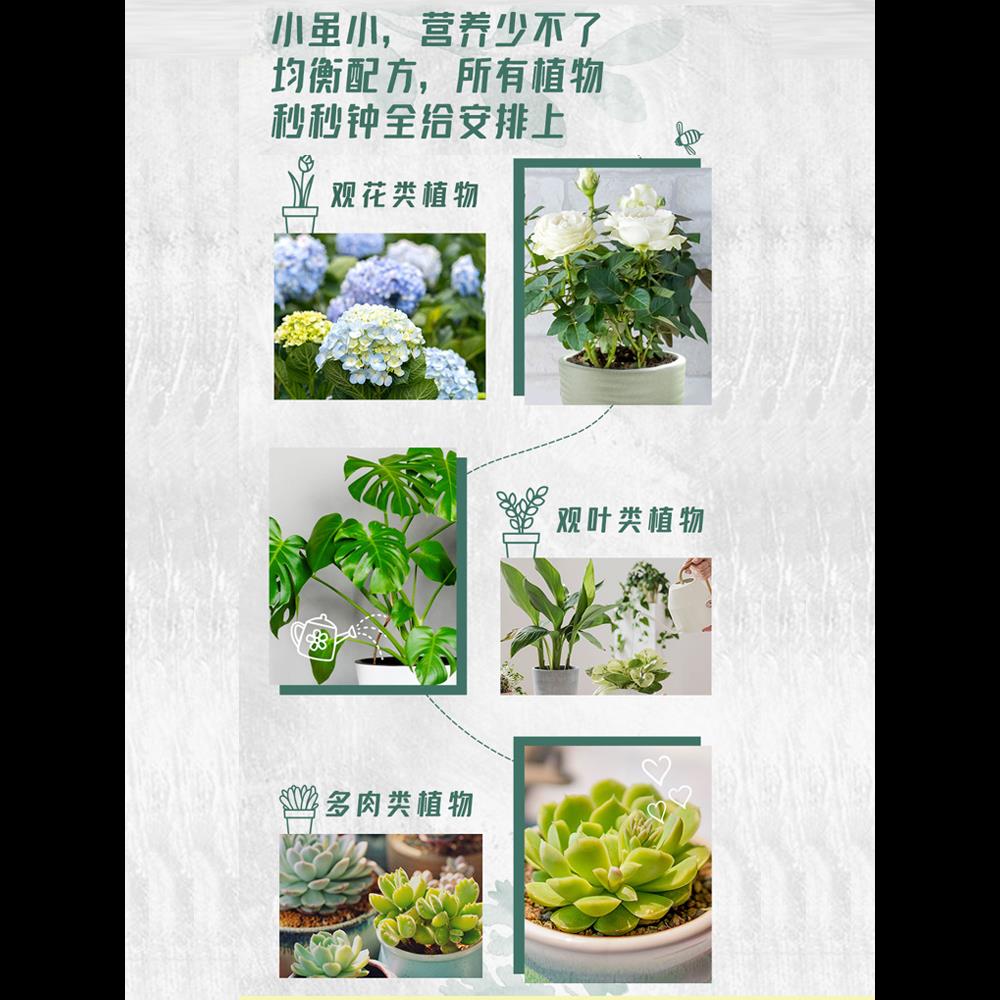 植物营养棒缓释肥料盆栽绿植通用型家用花卉促开花绿叶营养片长效 - 图3