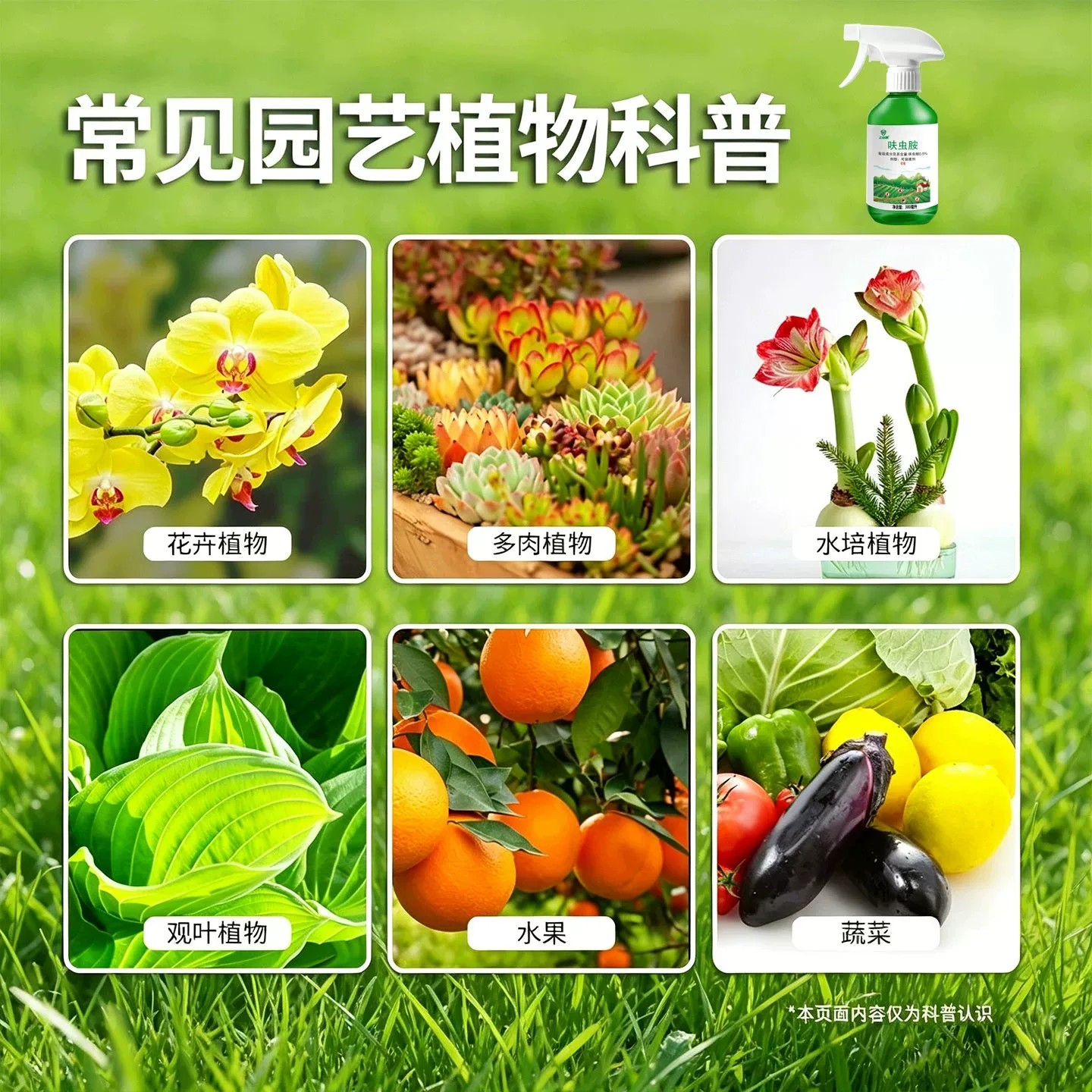 强效呋虫胺杀虫剂家用室内无毒气雾剂植物杀虫剂蛾蚋园艺预防肥料