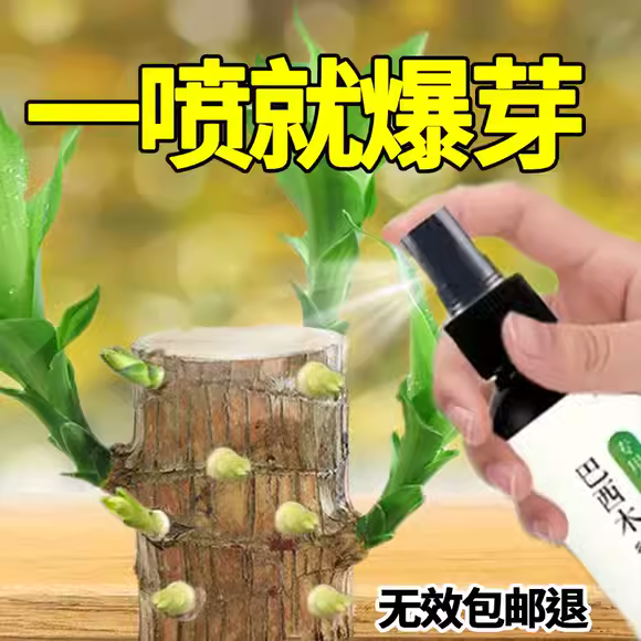 新款巴西木营养液专用肥料幸运木水培促爆芽防黄叶四季生根液体肥 - 图1