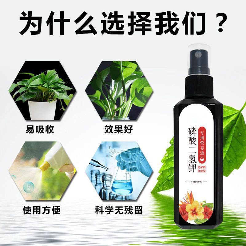磷酸二氢钾家用盆栽植物叶面肥料花卉通用养花种花液体磷钾催花肥,淘宝优惠券,粉丝福利购,淘宝优惠卷