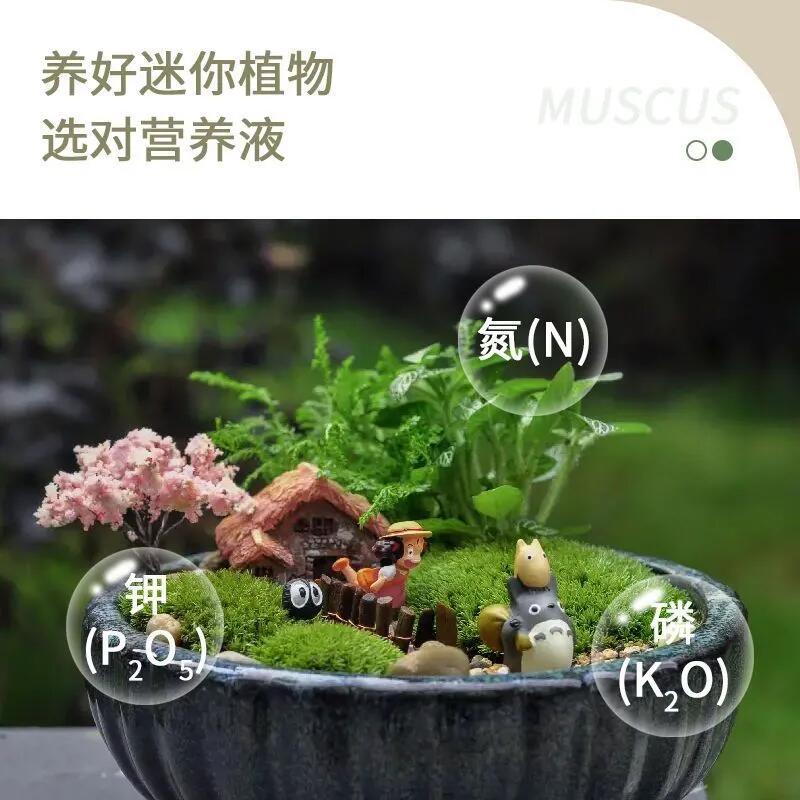 苔藓营养液苔藓植物青苔养花专用营养液绿植营养液家用专用肥料 - 图0