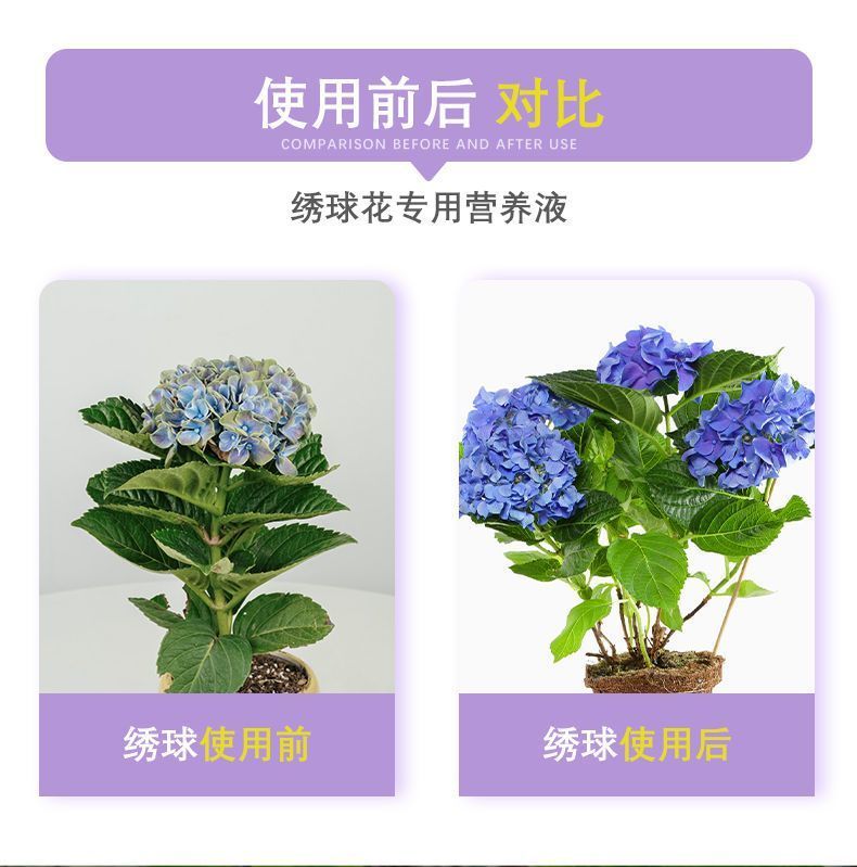 绣球花通用营养液专用免稀释液体肥料花大色艳家庭盆栽通用开苞 - 图0