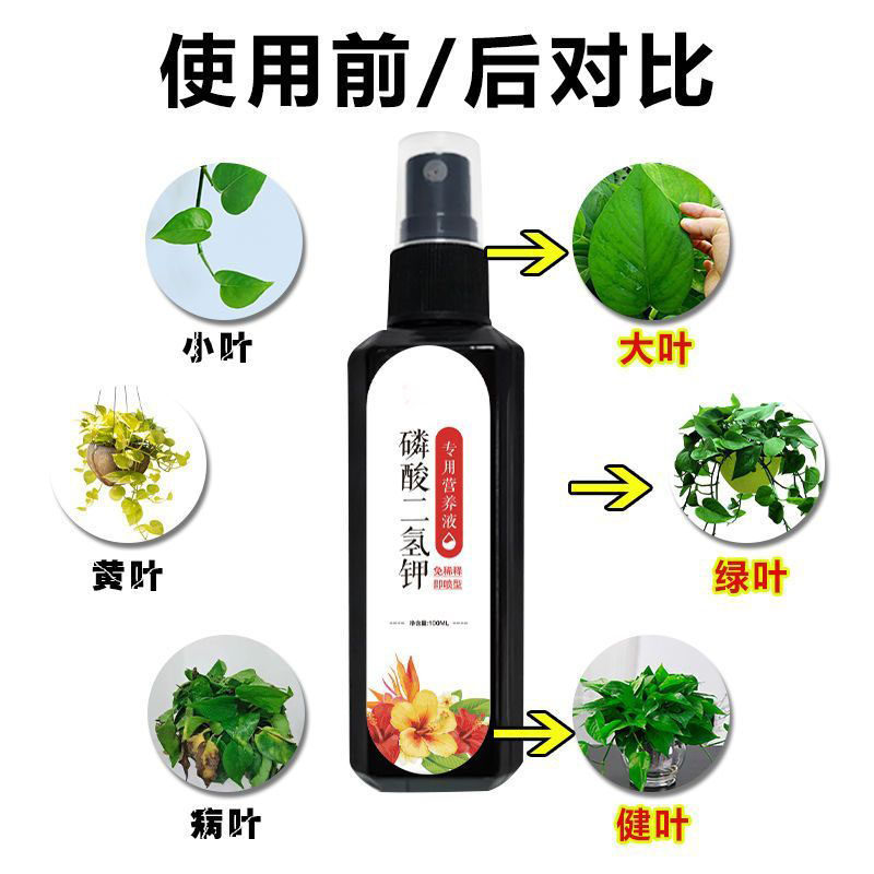 磷酸二氢钾家用盆栽植物叶面肥料花卉通用养花种花液体磷钾催花肥,淘宝优惠券,粉丝福利购,淘宝优惠卷