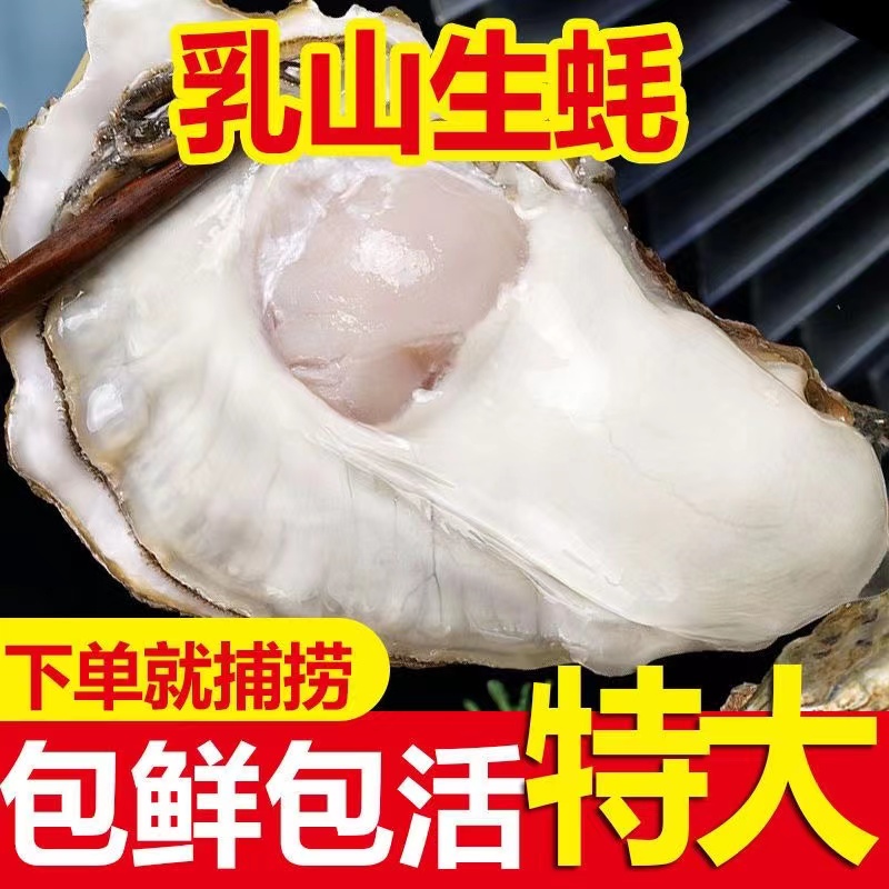 乳山生蚝新鲜大牡蛎带壳海蛎子贝类海鲜鲜活水产5斤顺丰包邮_做代购的苏苏_床上用品