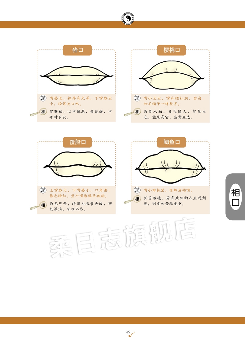 正版彩图完整无删减《图解麻衣神相》原文原著白话相术学权威书籍宋麻衣道者金志文译注麻衣相法大全古书相书男女手相面相术数译文-图3