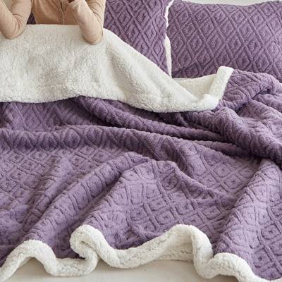 冬季加厚羊羔绒床上用毛毯牛奶绒午睡法兰绒沙发加厚小毯子珊瑚绒-图1
