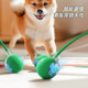 Automatic dog walking ball