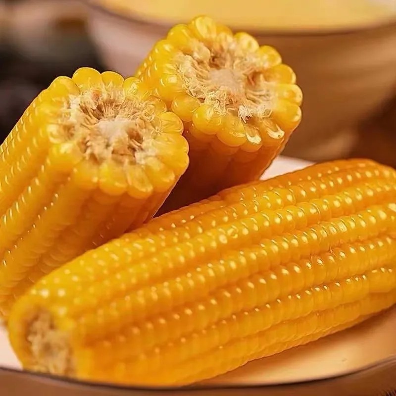 新鲜黏糯玉米真空8支粘苞米棒减低东北特产黄糯白糯黑糯饱腹代餐,淘宝优惠券,粉丝福利购,淘宝优惠卷