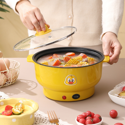 电煮锅宿舍学生锅家用小电锅