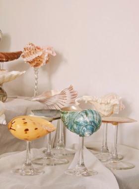 手工海螺杯贝壳杯摆件收纳酒杯甜品杯蛋糕盘