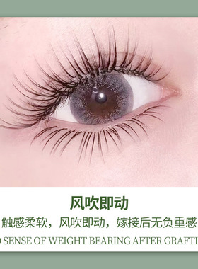 0.1520风吹动单根扁毛