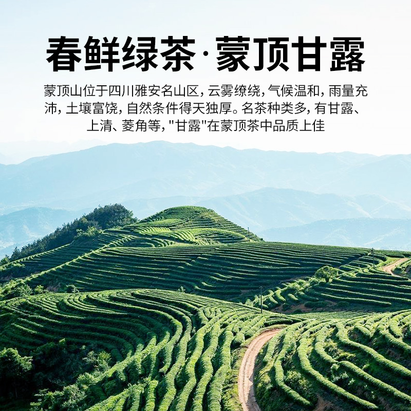 李陌茶茉莉飘雪2024年新绿茶横州七窨茉莉花茶冷泡端午里礼盒装 - 图2