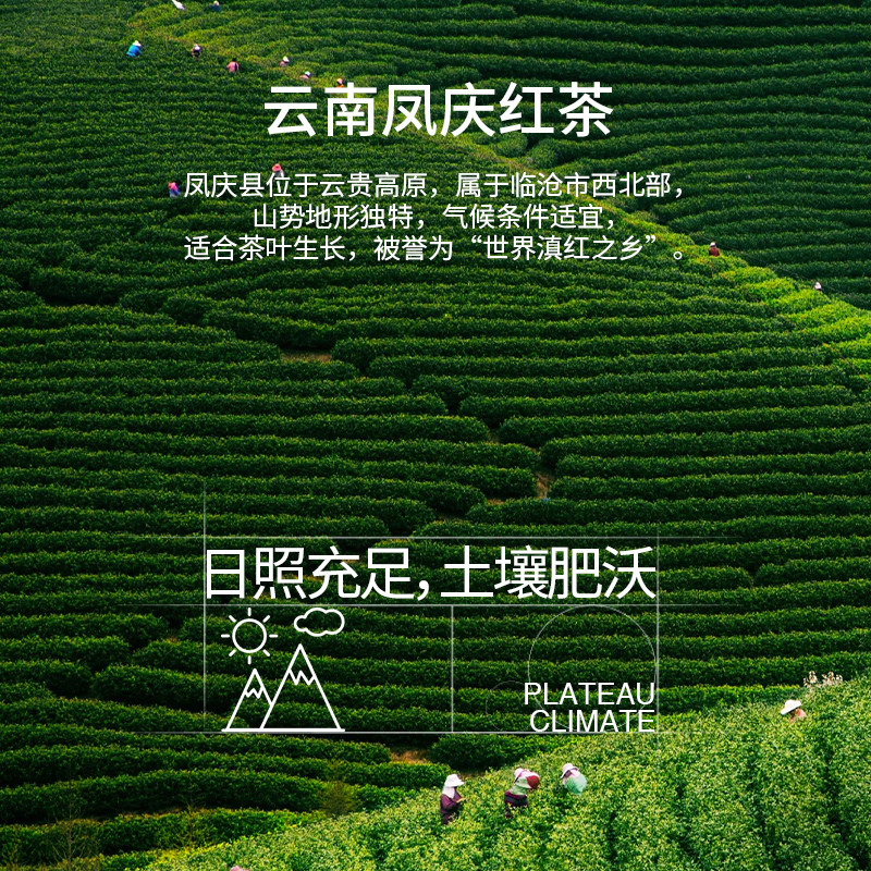 李陌茶柠檬红茶云南凤庆滇红香水柠檬冷热可泡水果茶叶礼罐装250g,淘宝优惠券,粉丝福利购,淘宝优惠卷
