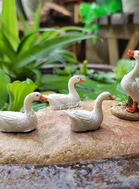 新款迷你小白鸭阳台盆栽花园假山盆景水池鱼缸苔藓微景观摆件鸭子