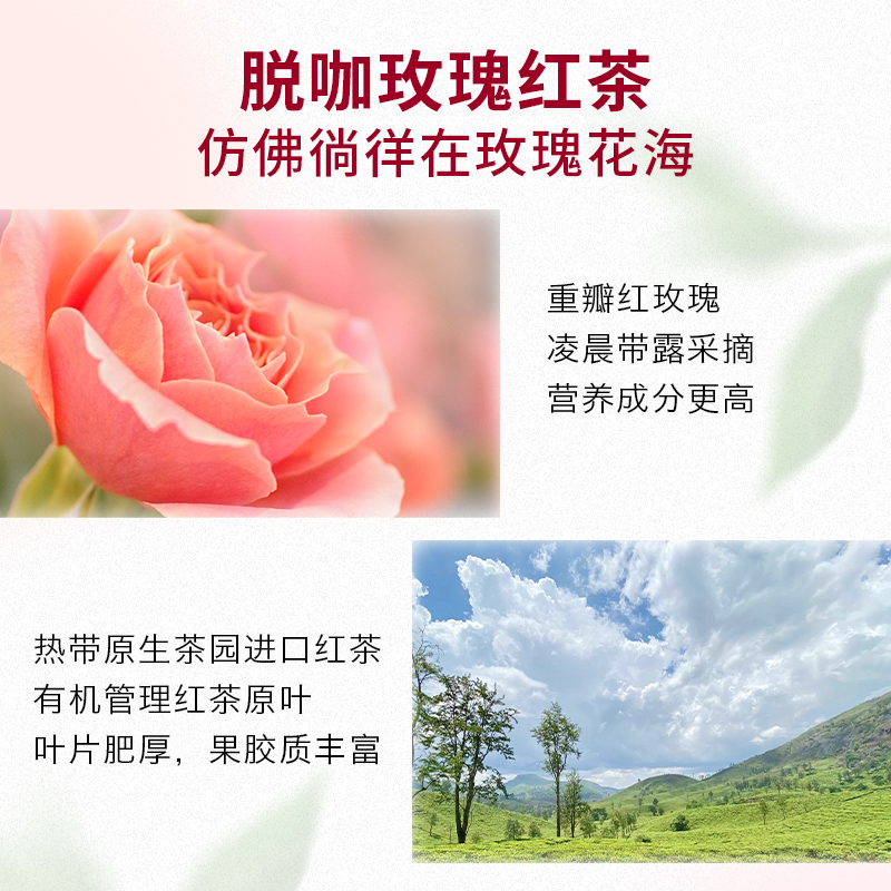 低因蜜桃乌龙茶菠萝果茶玫瑰红茶茶叶适合女生喝的袋泡茶养生茶包