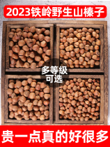 Real Son Fruit Hazelnut Northeast Terproduce Fresh Boutique Nuts Dried Fruits Official Flagship Store Iron Ridge Hand Clapping and Fried Cooked