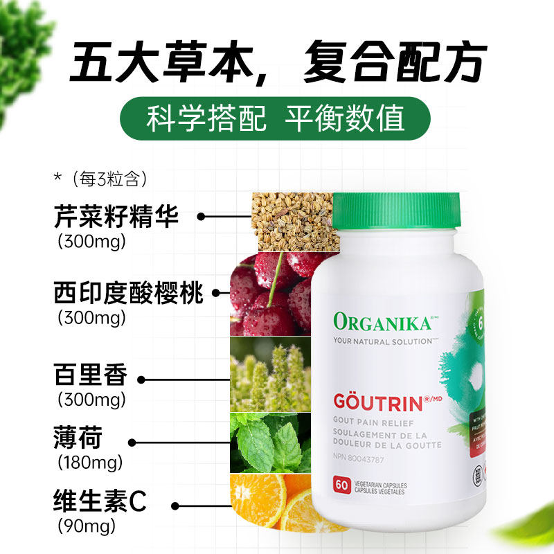 Organika高浓度芹菜籽西芹籽黑樱桃精华胶囊风痛降排平衡养护关节