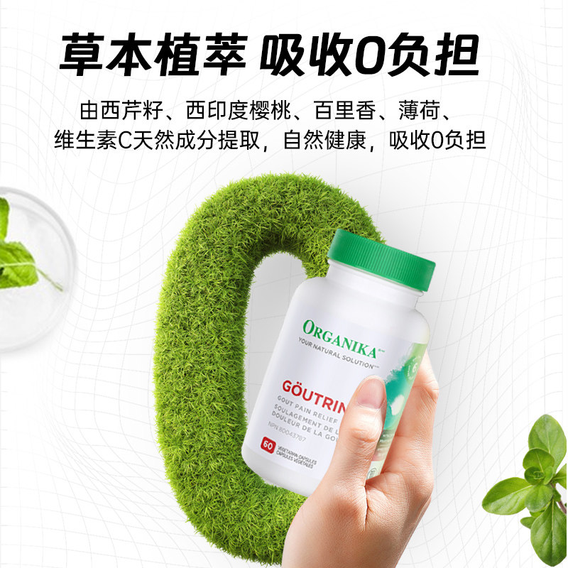 Organika高浓度芹菜籽西芹籽黑樱桃精华胶囊风痛降排平衡养护关节