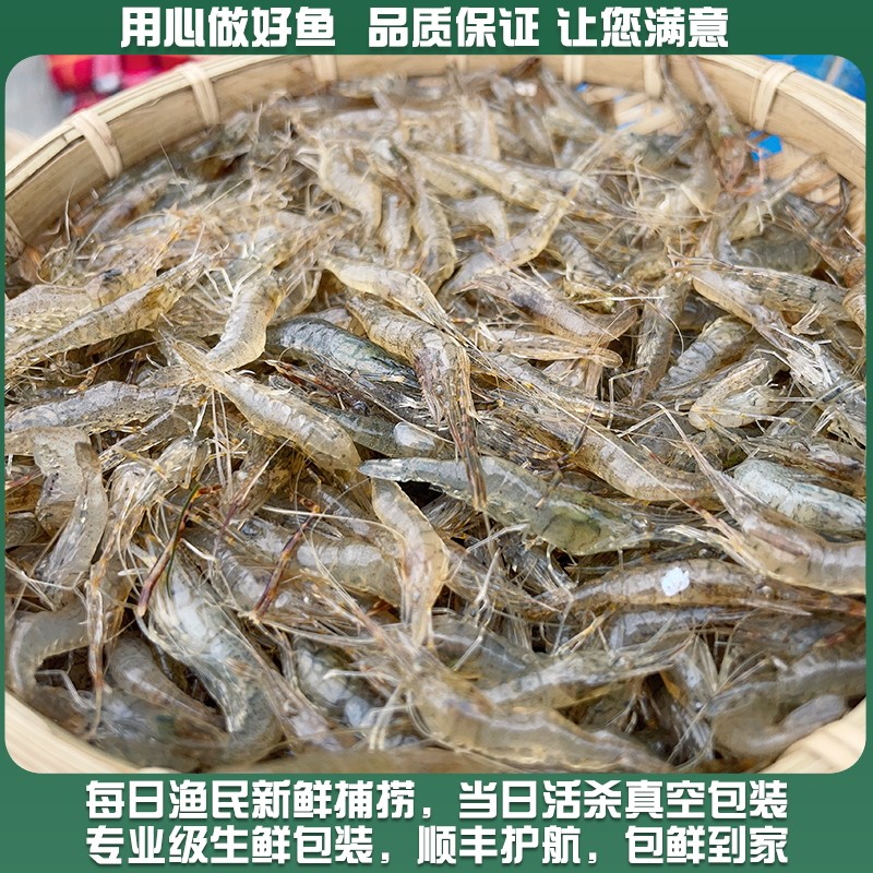 微山湖新鲜淡水小河虾鲜活的速冻大青虾草虾鱼食醉虾土虾生鲜顺丰,淘宝优惠券,粉丝福利购,淘宝优惠卷