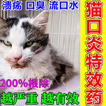 Cat stomatitis special effect medicine kitty mouth drooling mouth ulcer gum red swollen special anti-inflammatory and bacteriostatic spray