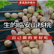 Raw Linan Mountain walnut 2023 New goods unprocessed uncooked wild nut pregnant with children snacks canned